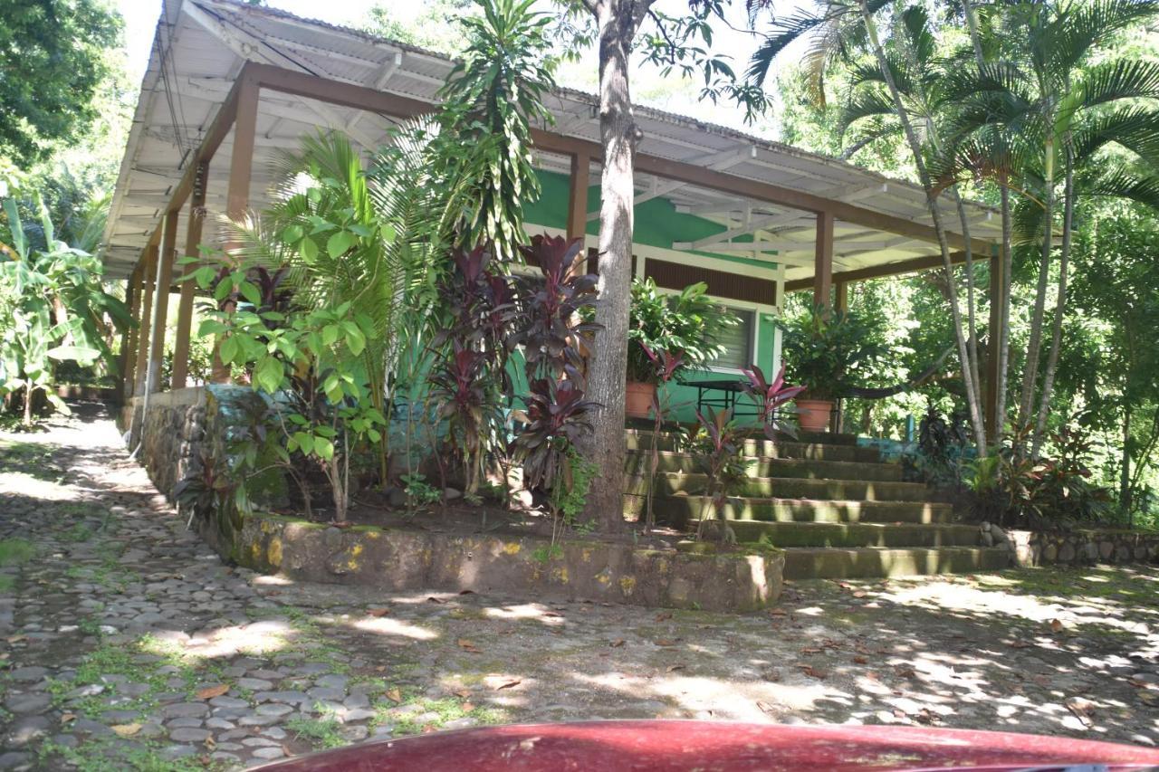 Hammock Plantation Apartment El Zonte Bagian luar foto